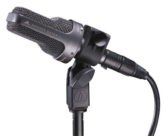 AE3000 LARGE-DIAPHRAGM SIDE-ADDRESS CARDIOID CONDENSER INSTRUMENT MICROPHONE